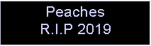 Text Box: PeachesR.I.P 2019