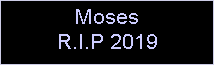 Text Box: MosesR.I.P 2019