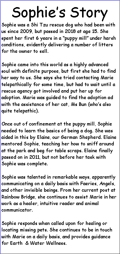 Text Box: Sophies StorySophie was a Shi Tzu rescue dog who had been with us since 2009, but passed in 2018 at age 15. She spent her first 6 years in a puppy mill under harsh conditions, evidently delivering a number of litters for the owner to sell.Sophie came into this world as a highly advanced soul with definite purpose, but first she had to find her way to us. She says she tried contacting Marie telepathically for some time, but had to wait until a rescue agency got involved and put her up for adoption. Marie was guided to find the adoption ad with the assistance of her cat, Ms Bun (whos also quite telepathic).Once out of confinement at the puppy mill, Sophie needed to learn the basics of being a dog. She was aided in this by Elaine, our German Shepherd. Elaine mentored Sophie, teaching her how to sniff around at the park and beg for table scraps. Elaine finally passed on in 2011, but not before her task with Sophie was complete.Sophie was talented in remarkable ways, apparently communicating on a daily basis with Faeries, Angels, and other invisible beings. From her current post at Rainbow Bridge, she continues to assist Marie in her work as a healer, intuitive reader and animal communicator. 

Sophie responds when called upon for healing or locating missing pets. She continues to be in touch with Marie on a daily basis, and provides guidance for Earth  & Water Wellness.